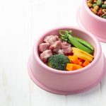 Alimentos para humanos que no pueden consumir las mascotas domésticas.