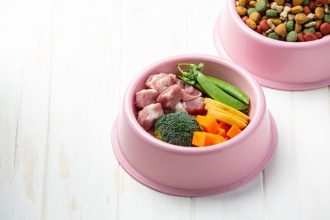 Alimentos para humanos que no pueden consumir las mascotas domésticas.