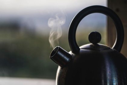 Las infusiones más usadas y populares, sus propiedades y beneficios.