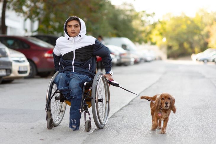 Tipos de mascotas que pueden realizar tareas humanas.