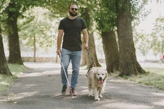 Tipos de mascotas que pueden realizar tareas humanas.