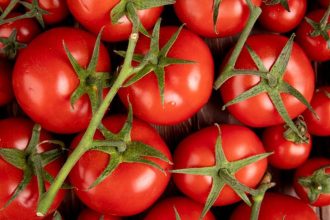 El tomate, sus propiedades, beneficios y remedios caseros.