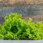 La lechuga, sus propiedades, beneficios y remedios caseros.