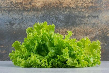 La lechuga, sus propiedades, beneficios y remedios caseros.